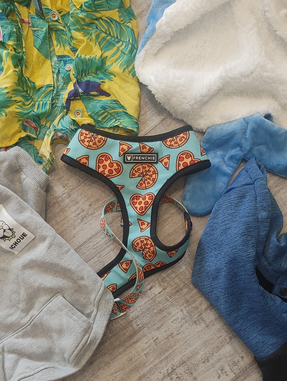 HUGE FRENCHIE LOT L/XL French Bulldog Clothes & Accessories - Picture 7 of 10